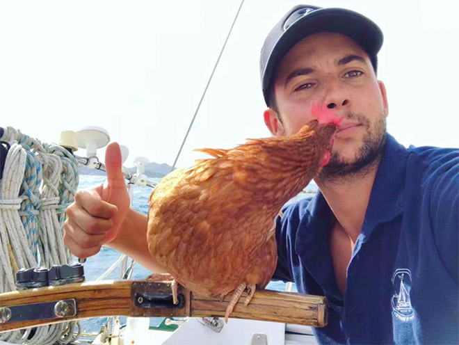 Sailing together with a pet chicken.