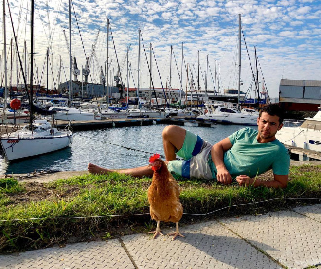 Sailing together with a pet chicken.