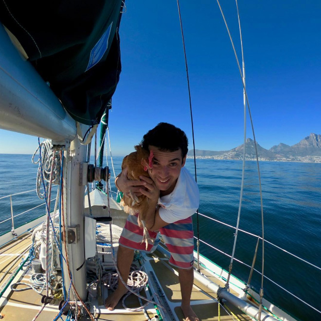 Sailing together with a pet chicken.
