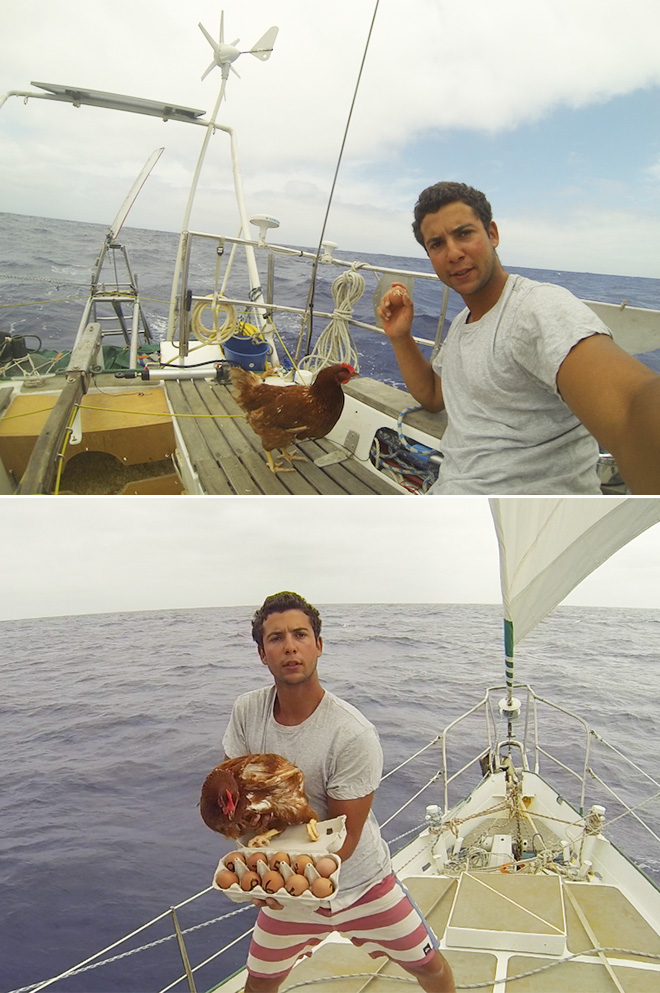 Sailing together with a pet chicken.