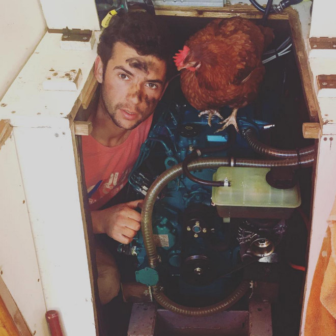 Sailing together with a pet chicken.