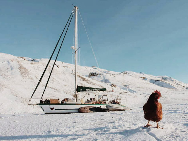 Sailing together with a pet chicken.