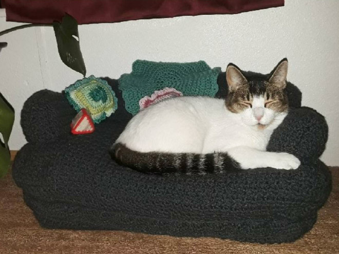 Crocheted kitty couch.