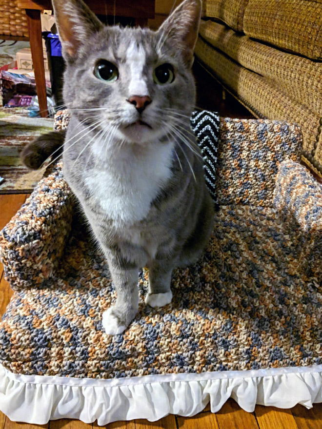 Crocheted kitty couch.