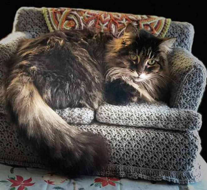 Crocheted kitty couch.