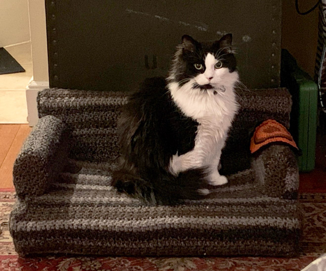 Crocheted kitty couch.