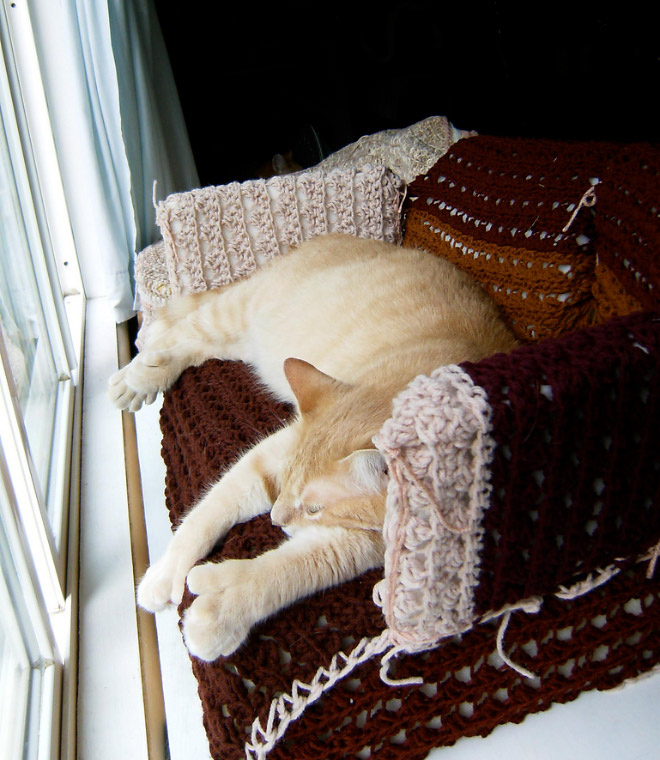 Crocheted kitty couch.