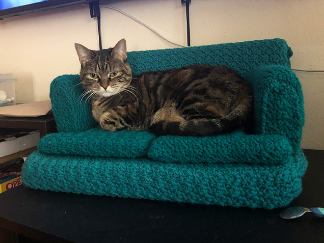 Crocheted kitty couch.