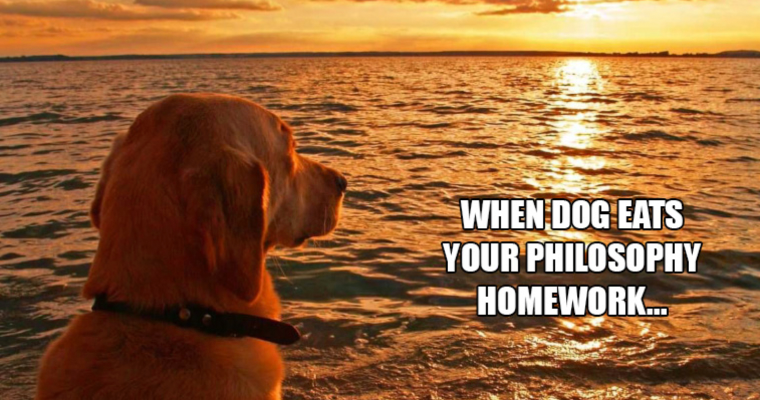 when your dog eats your philosophy homework meme