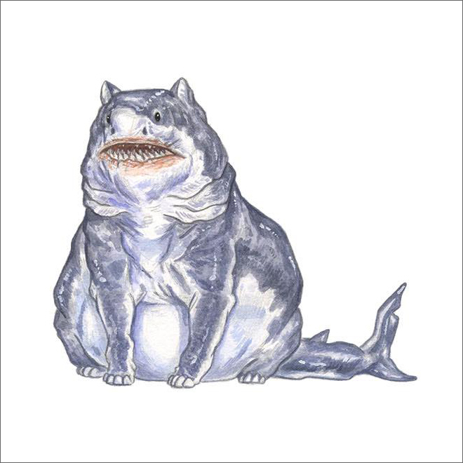 Cats + sharks = sharts.