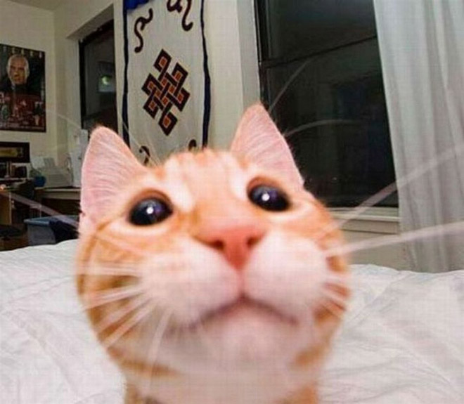 Laptop camera selfie.