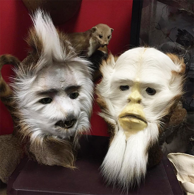 Deer butt taxidermy sasquatch.