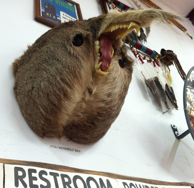 Deer butt taxidermy sasquatch.