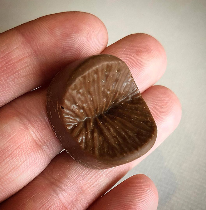 "Edible Anus" chocolate candy.