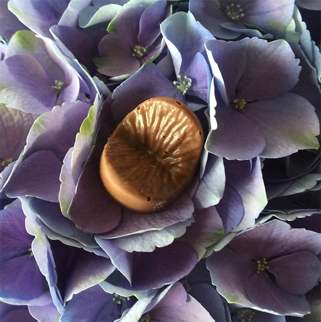 "Edible Anus" chocolate candy.