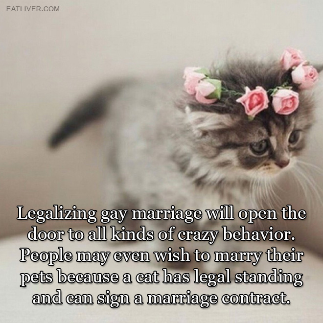 Why gay marriage is wrong.