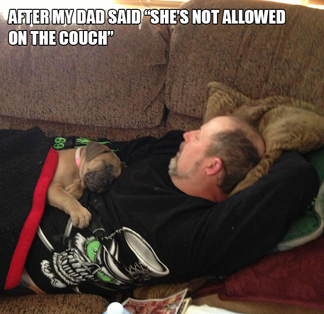 Dad vs. dog.