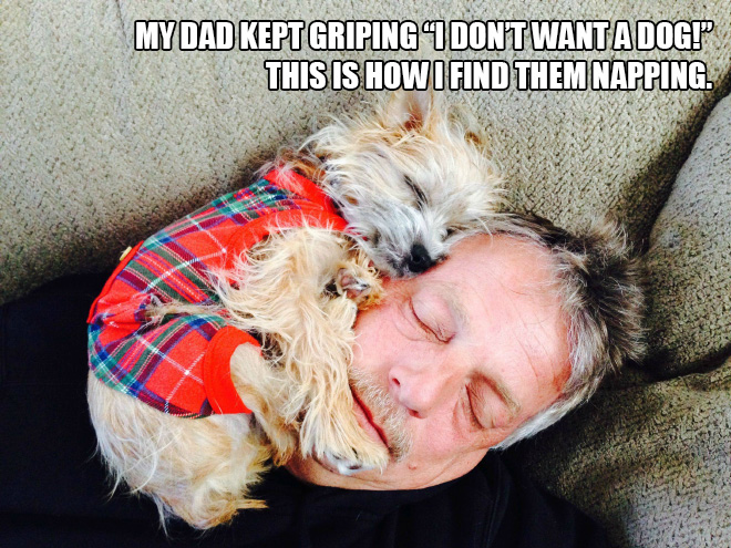 Dad vs. dog.