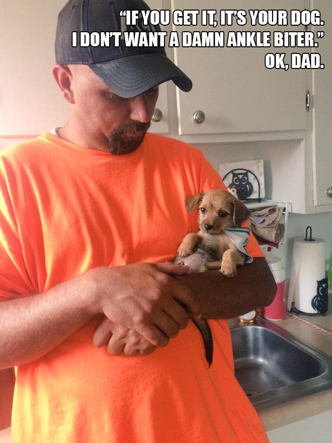 Dad vs. dog.