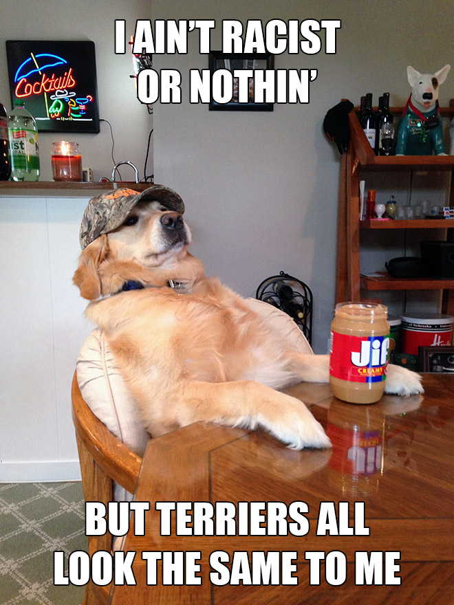 Redneck retriever meme.