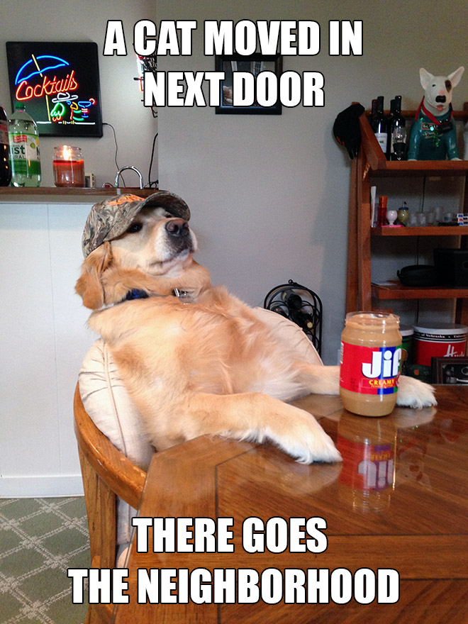 Redneck retriever meme.