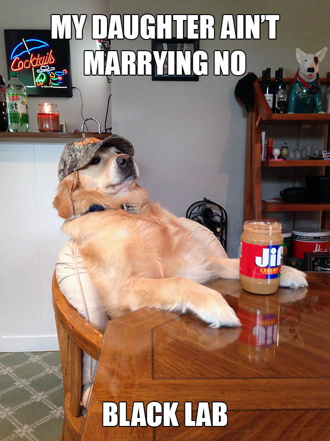 Redneck retriever meme.