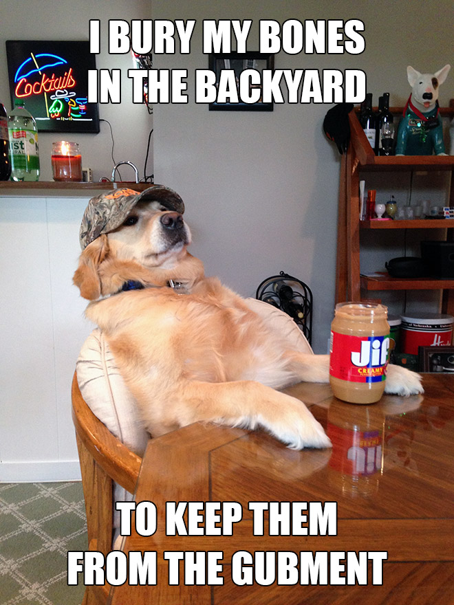 Redneck retriever meme.