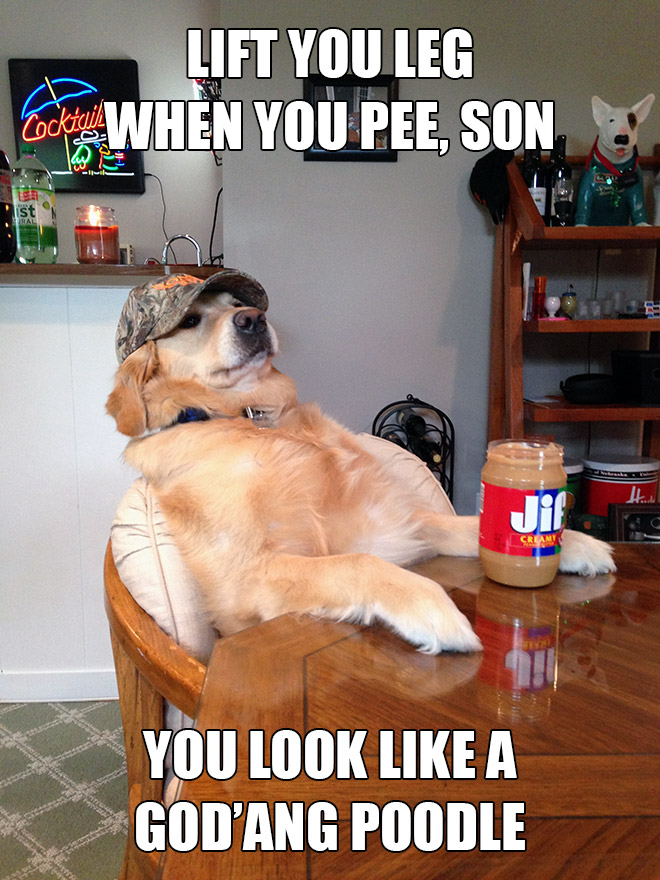 Redneck retriever meme.