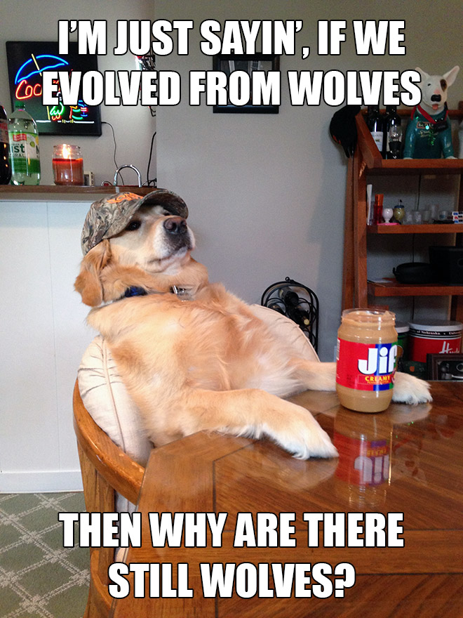 Redneck retriever meme.