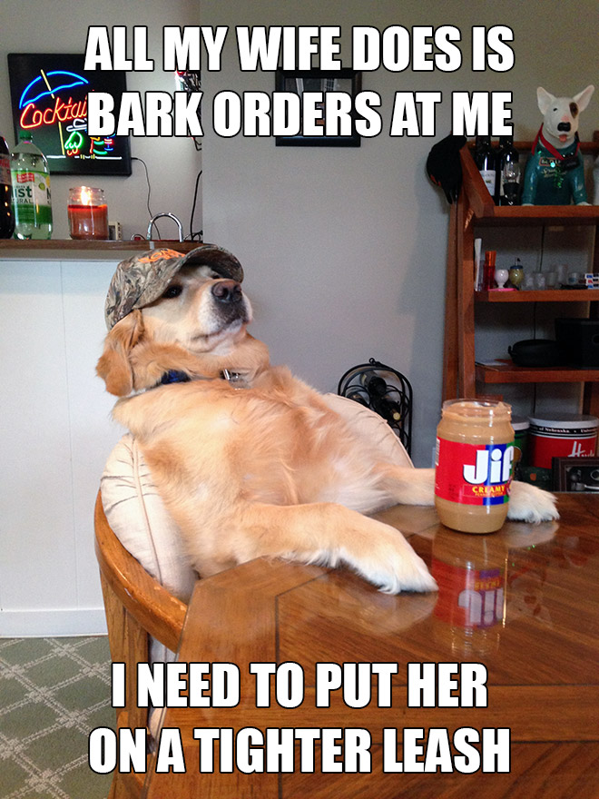 Redneck retriever meme.