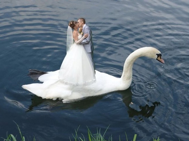 When it comes to ruining your wedding photos with lousy photoshopping, nobody does it like the Russians. Nobody!