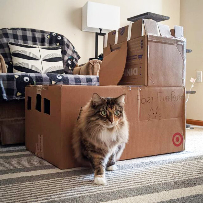 Awesome DIY cat fort.