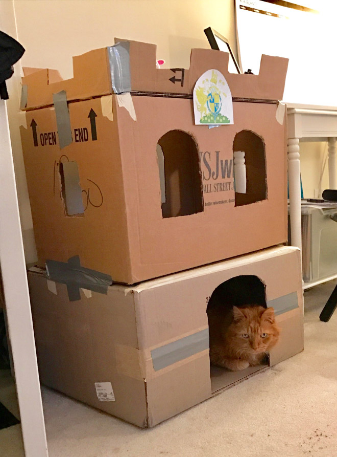 Awesome DIY cat fort.