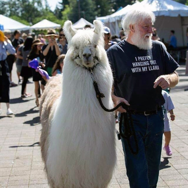 No drama llama Caesar calming down protesters and policemen.