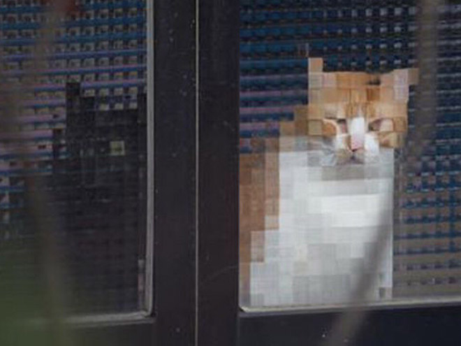 8-bit low resolution pixelated cat.