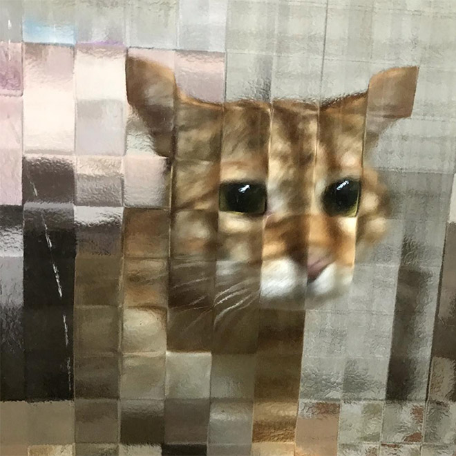 8-bit low resolution pixelated cat.