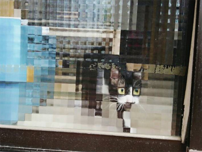 8-bit low resolution pixelated cat.