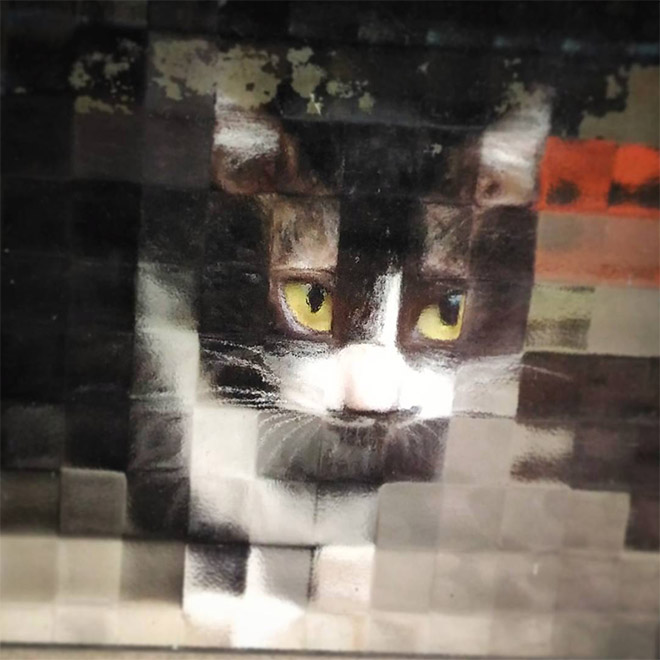 8-bit low resolution pixelated cat.