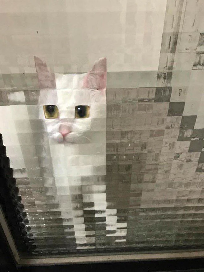 8-bit low resolution pixelated cat.