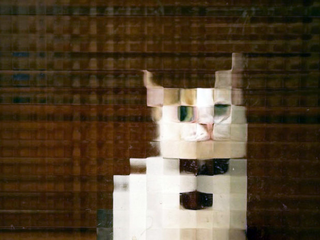 8-bit low resolution pixelated cat.