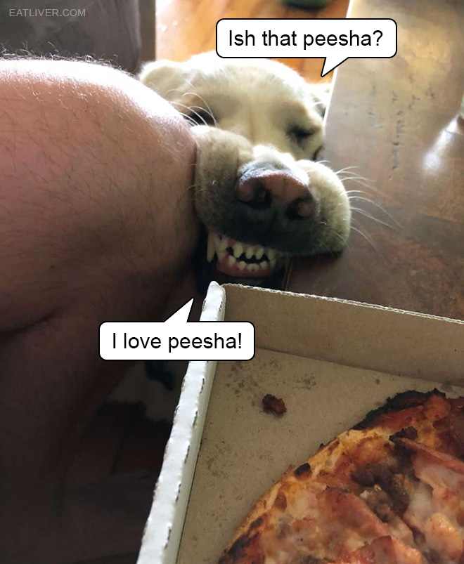 I love peesha!