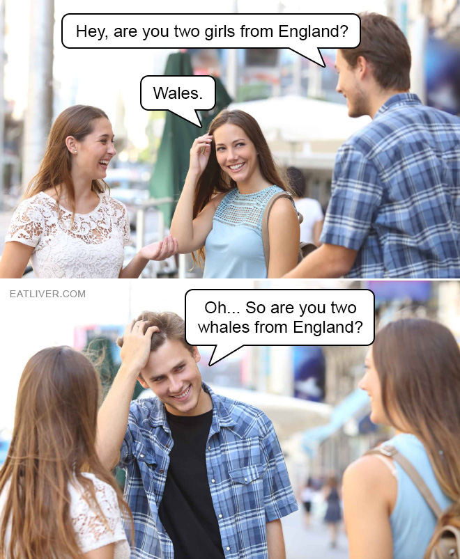 Oh... Sorry... So are you two whales from England?