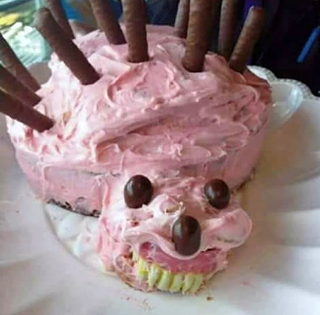 Would you eat this hedgehog cake?