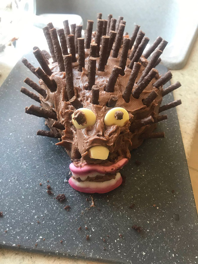 Would you eat this hedgehog cake?