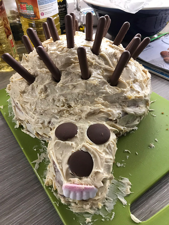 Would you eat this hedgehog cake?