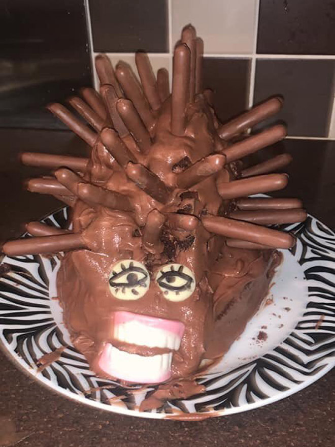 Would you eat this hedgehog cake?