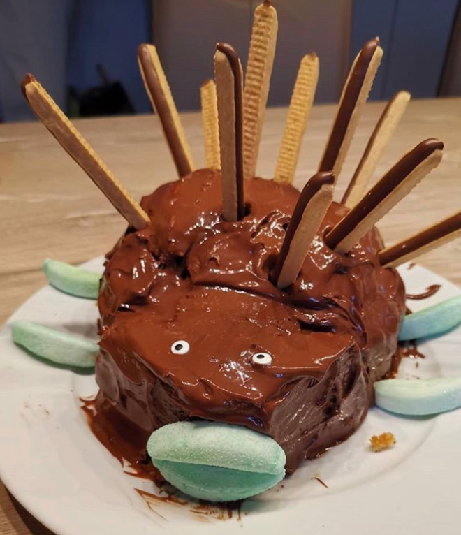 Would you eat this hedgehog cake?