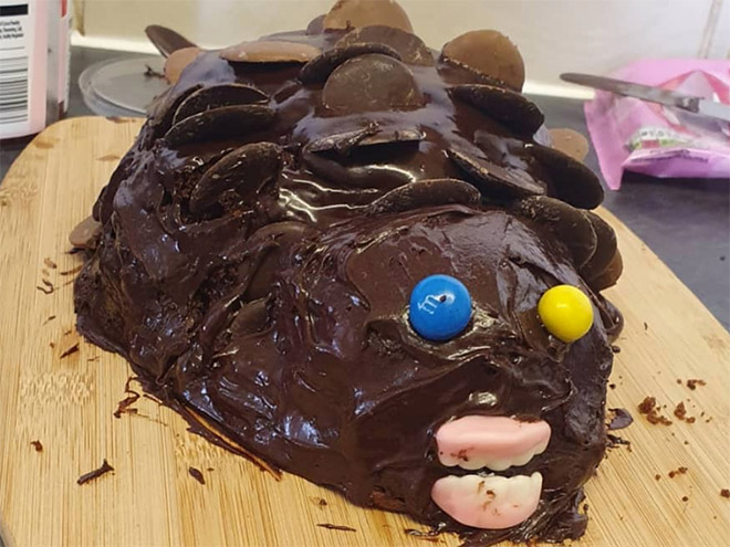 Would you eat this hedgehog cake?