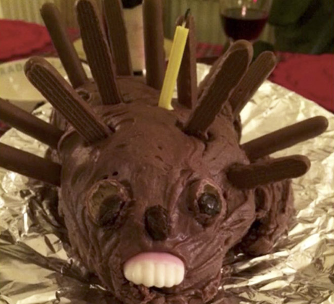 Would you eat this hedgehog cake?