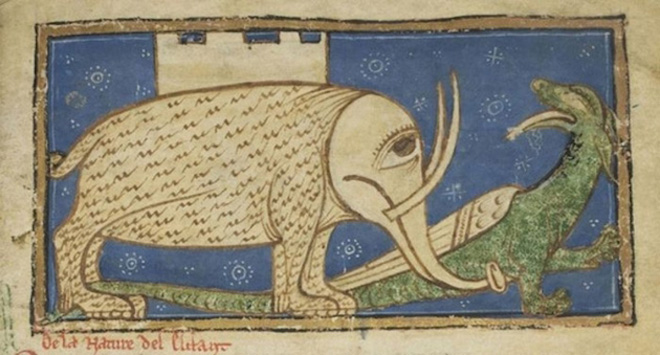 This is how medieval artists painted elephants.
